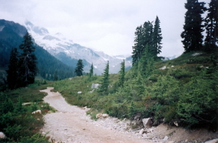 Alpine near Elfin Lakes, Mt Garibaldi in the background 2003-08.